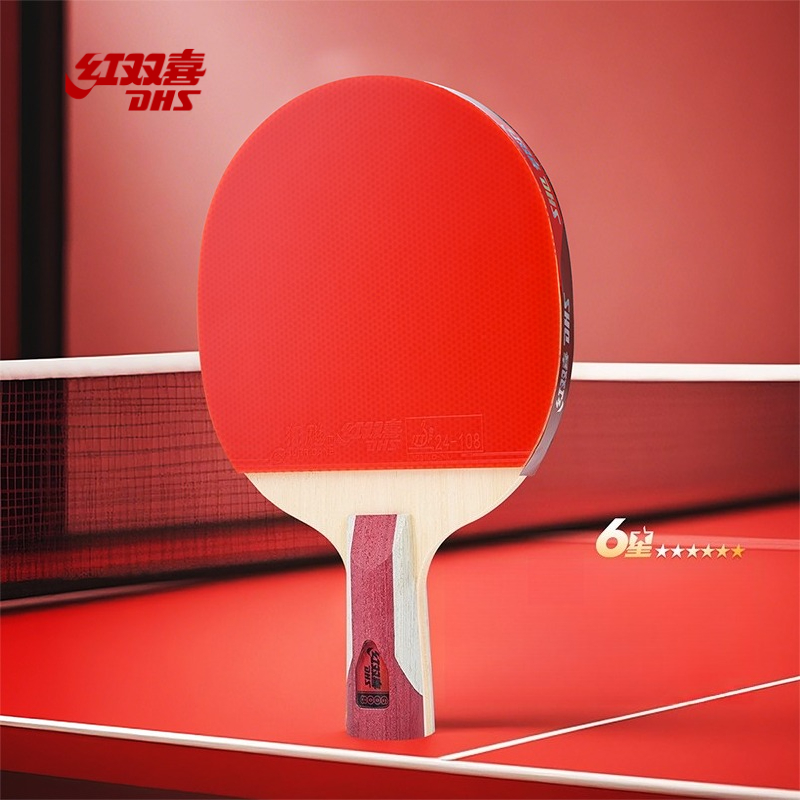 Table Tennis Champion - Raqueta de Tenis de Mesa DHS
