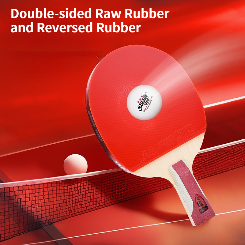 Raqueta de Tenis de Mesa DHS c - Table Tennis Champion reseña y precio