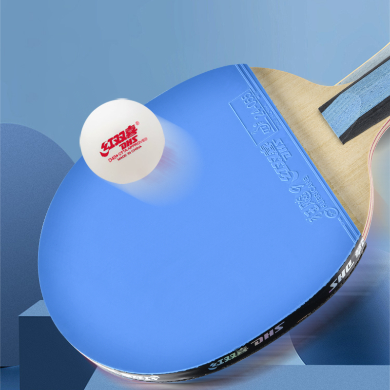 Raqueta de tenis de mesa DHS 6 - Table Tennis Champion reseña y precio