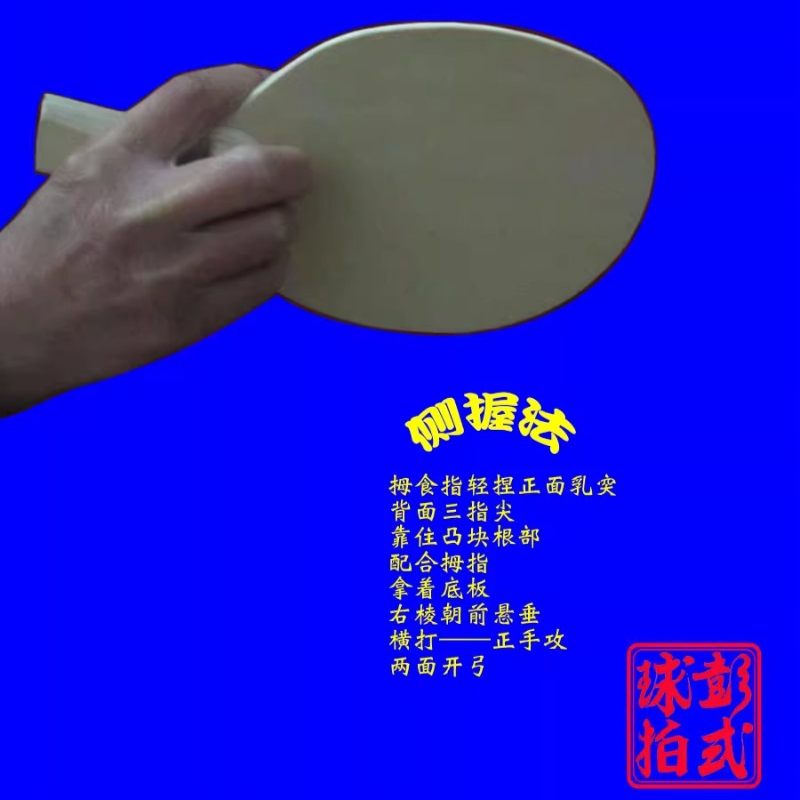 Raquetas de tenis de mesa de e - Table Tennis Xiom reseña y precio