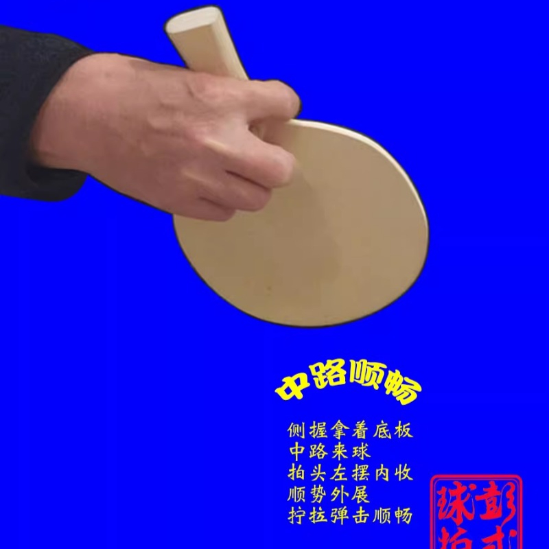 Raquetas de tenis de mesa de e - Table Tennis Xiom reseña y precio