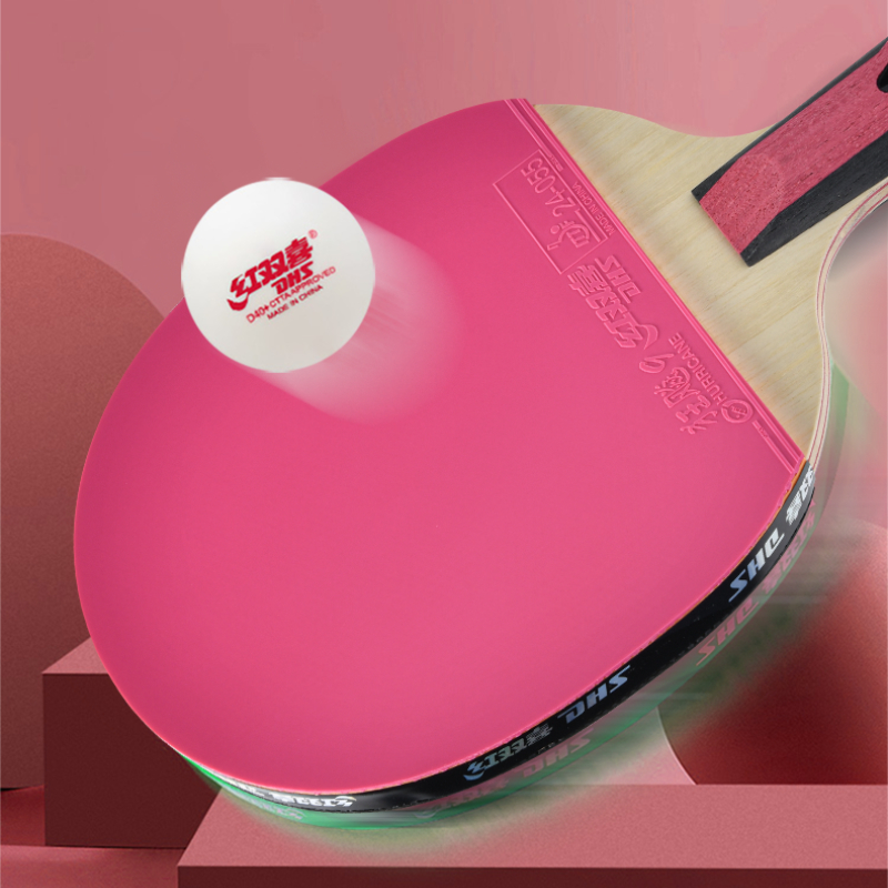 Raqueta de tenis de mesa DHS d - Table Tennis Champion reseña y precio